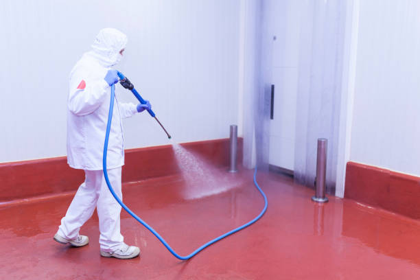 Best Dumpster Area Cleaning  in Taylorsville, KY
